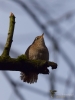 Filename=000063_fotowilga~71.JPG
Filesize=211KB
Dimensions=525x700
Date added=Jun 02, 2019 000063_fotowilga~71.JPG