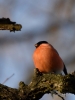 Filename=0000652_fotowilga~8.JPG
Filesize=235KB
Dimensions=525x700
Date added=Feb 23, 2018 0000652_fotowilga~8.JPG