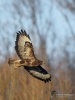 Filename=000071_fotowilga~61.JPG
Filesize=255KB
Dimensions=525x700
Date added=Feb 07, 2019 000071_fotowilga~61.JPG
