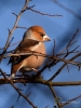 Filename=000072_fotowilga~58.JPG
Filesize=275KB
Dimensions=525x700
Date added=Apr 25, 2018 000072_fotowilga~58.JPG