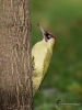 Filename=000073_fotowilga~54.JPG
Filesize=280KB
Dimensions=525x700
Date added=Jan 29, 2018 000073_fotowilga~54.JPG