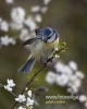 Filename=000075_fotowilga~22.JPG
Filesize=53KB
Dimensions=384x480
Date added=May 03, 2016 000075_fotowilga~22.JPG