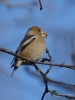 Filename=000079_fotowilga~55.JPG
Filesize=217KB
Dimensions=525x700
Date added=Apr 25, 2018 000079_fotowilga~55.JPG