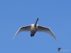 Filename=000089_fotowilga~60.JPG
Filesize=193KB
Dimensions=700x526
Date added=Oct 24, 2019 000089_fotowilga~60.JPG