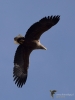 Filename=000096_fotowilga~41.JPG
Filesize=221KB
Dimensions=525x700
Date added=Mar 28, 2019 000096_fotowilga~41.JPG