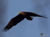 Filename=000099_fotowilga~55.JPG
Filesize=213KB
Dimensions=700x525
Date added=Dec 20, 2018 000099_fotowilga~55.JPG