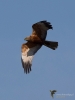 Filename=000103_fotowilga~43.JPG
Filesize=195KB
Dimensions=525x700
Date added=May 16, 2017 000103_fotowilga~43.JPG