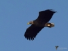 Filename=000103_fotowilga~70.JPG
Filesize=225KB
Dimensions=700x525
Date added=Dec 18, 2019 000103_fotowilga~70.JPG