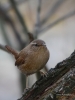 Filename=000106_fotowilga~45.JPG
Filesize=261KB
Dimensions=525x700
Date added=Dec 16, 2018 000106_fotowilga~45.JPG