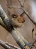 Filename=000107_fotowilga~45.JPG
Filesize=247KB
Dimensions=525x700
Date added=Oct 10, 2017 000107_fotowilga~45.JPG