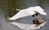 Filename=000108_fotowilga~61.JPG
Filesize=242KB
Dimensions=700x434
Date added=Jun 03, 2019 000108_fotowilga~61.JPG