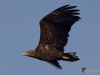 Filename=000109_fotowilga~4.JPG
Filesize=225KB
Dimensions=700x525
Date added=Dec 20, 2018 000109_fotowilga~4.JPG