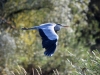 Filename=00010_fotowilga~0.JPG
Filesize=274KB
Dimensions=700x525
Date added=Nov 01, 2019 00010_fotowilga~0.JPG
