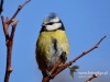 Filename=00010_fotowilga~30.JPG
Filesize=64KB
Dimensions=640x480
Date added=Feb 28, 2017 00010_fotowilga~30.JPG