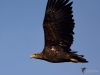 Filename=000113_fotowilga~39.JPG
Filesize=228KB
Dimensions=700x525
Date added=Dec 28, 2018 000113_fotowilga~39.JPG