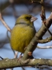 Filename=000113_fotowilga~52.JPG
Filesize=271KB
Dimensions=525x700
Date added=Sep 16, 2018 000113_fotowilga~52.JPG