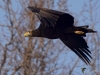Filename=000116_fotowilga~20.JPG
Filesize=276KB
Dimensions=700x525
Date added=Dec 20, 2018 000116_fotowilga~20.JPG