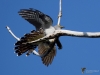 Filename=000117_fotowilga~41.JPG
Filesize=229KB
Dimensions=700x525
Date added=May 12, 2018 000117_fotowilga~41.JPG