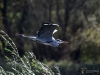 Filename=00011_fotowilga.JPG
Filesize=259KB
Dimensions=700x525
Date added=Nov 01, 2019 00011_fotowilga.JPG