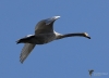 Filename=000122_fotowilga~0.JPG
Filesize=216KB
Dimensions=700x504
Date added=Oct 14, 2021 000122_fotowilga~0.JPG