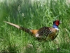 Filename=000123_fotowilga~57.JPG
Filesize=376KB
Dimensions=700x525
Date added=Jun 03, 2019 000123_fotowilga~57.JPG