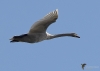 Filename=000124_fotowilga~0.JPG
Filesize=202KB
Dimensions=700x501
Date added=Oct 08, 2021 000124_fotowilga~0.JPG