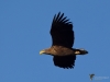 Filename=000124_fotowilga~63.JPG
Filesize=203KB
Dimensions=700x525
Date added=Dec 26, 2019 000124_fotowilga~63.JPG