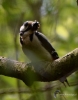 Filename=000128_fotowilga~0.JPG
Filesize=279KB
Dimensions=550x700
Date added=Jun 29, 2021 000128_fotowilga~0.JPG
