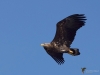 Filename=000139_fotowilga~57.JPG
Filesize=206KB
Dimensions=700x525
Date added=Mar 02, 2019 000139_fotowilga~57.JPG