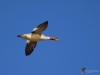 Filename=00013_fotowilga.JPG
Filesize=194KB
Dimensions=700x525
Date added=Oct 28, 2019 00013_fotowilga.JPG