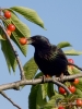 Filename=000144_fotowilga~63.JPG
Filesize=270KB
Dimensions=525x700
Date added=Jun 16, 2019 000144_fotowilga~63.JPG