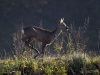 Filename=000146_fotowilga~57.JPG
Filesize=325KB
Dimensions=700x525
Date added=Oct 26, 2019 000146_fotowilga~57.JPG