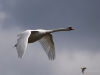 Filename=000148_fotowilga~58.JPG
Filesize=190KB
Dimensions=700x525
Date added=Oct 04, 2019 000148_fotowilga~58.JPG