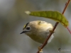 Filename=000149_fotowilga~66.JPG
Filesize=253KB
Dimensions=700x525
Date added=Oct 12, 2019 000149_fotowilga~66.JPG