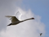 Filename=000150_fotowilga~54.JPG
Filesize=176KB
Dimensions=700x525
Date added=Oct 04, 2019 000150_fotowilga~54.JPG