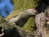 Filename=000158_fotowilga~58.JPG
Filesize=335KB
Dimensions=700x525
Date added=Jul 02, 2019 000158_fotowilga~58.JPG