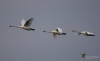 Filename=00015_fotowilga~0.JPG
Filesize=145KB
Dimensions=700x430
Date added=Sep 25, 2021 00015_fotowilga~0.JPG