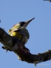 Filename=000160_fotowilga~52.JPG
Filesize=238KB
Dimensions=525x700
Date added=Mar 10, 2019 000160_fotowilga~52.JPG