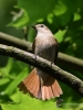 Filename=000160_fotowilga~55.JPG
Filesize=236KB
Dimensions=525x700
Date added=May 31, 2019 000160_fotowilga~55.JPG
