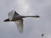 Filename=000161_fotowilga~56.JPG
Filesize=173KB
Dimensions=700x525
Date added=Oct 06, 2019 000161_fotowilga~56.JPG