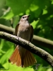 Filename=000162_fotowilga~51.JPG
Filesize=259KB
Dimensions=525x700
Date added=May 31, 2019 000162_fotowilga~51.JPG