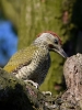 Filename=000171_fotowilga~51.JPG
Filesize=307KB
Dimensions=525x700
Date added=Jul 02, 2019 000171_fotowilga~51.JPG