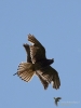 Filename=000172_fotowilga~46.JPG
Filesize=240KB
Dimensions=525x700
Date added=May 31, 2019 000172_fotowilga~46.JPG
