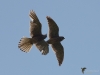 Filename=000173_fotowilga~49.JPG
Filesize=220KB
Dimensions=700x525
Date added=May 31, 2019 000173_fotowilga~49.JPG