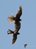 Filename=000176_fotowilga~50.JPG
Filesize=215KB
Dimensions=525x700
Date added=May 31, 2019 000176_fotowilga~50.JPG