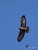 Filename=000180_fotowilga~16.JPG
Filesize=217KB
Dimensions=525x700
Date added=Mar 10, 2019 000180_fotowilga~16.JPG