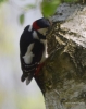 Filename=000187_fotowilga~0.JPG
Filesize=278KB
Dimensions=556x700
Date added=May 21, 2021 000187_fotowilga~0.JPG