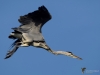 Filename=000189_fotowilga~48.JPG
Filesize=189KB
Dimensions=700x525
Date added=Sep 16, 2018 000189_fotowilga~48.JPG