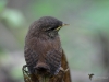 Filename=000191_fotowilga~43.JPG
Filesize=230KB
Dimensions=700x525
Date added=Jun 09, 2018 000191_fotowilga~43.JPG