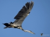 Filename=000191_fotowilga~44.JPG
Filesize=185KB
Dimensions=700x525
Date added=Sep 16, 2018 000191_fotowilga~44.JPG